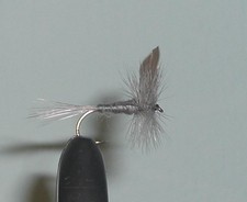 Blue Dunn #16 Hand Tied Fly Fishing Flies 12-Pack
