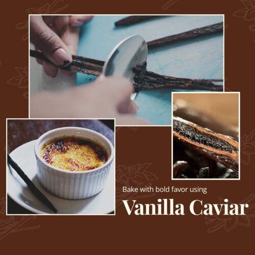 Whole Fresh Vanilla Beans, Grade A Vanilla Beans For Vanilla Extract & Baking - Picture 11 of 21