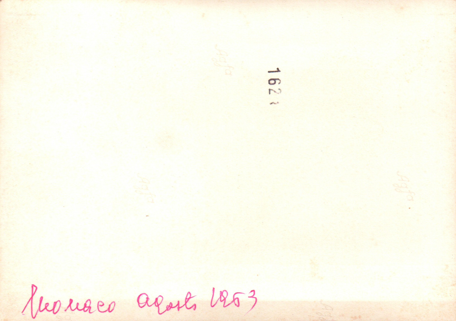 Foto 2 di 2