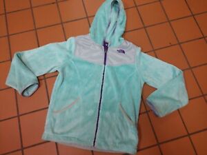 north face light blue hoodie