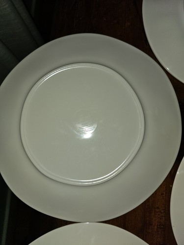 Blakely Anthropologie Dinner Plates Set of 4 10.5” Beach Spring Water Palm Trees - Picture 10 of 12