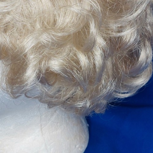 Eva Gabor Artelle Synthetic Wig Adjustable Size M Curly Average Silver to Grey - Picture 5 of 11
