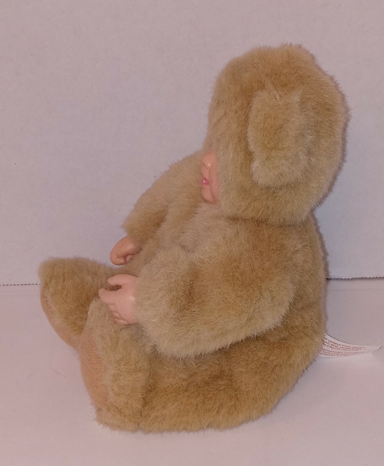 Picture 5 of 8