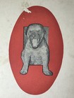Foto 6 di 9