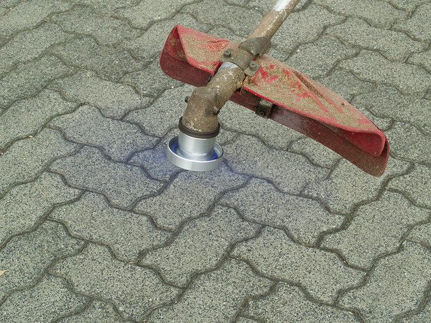 Bild 4 von 6