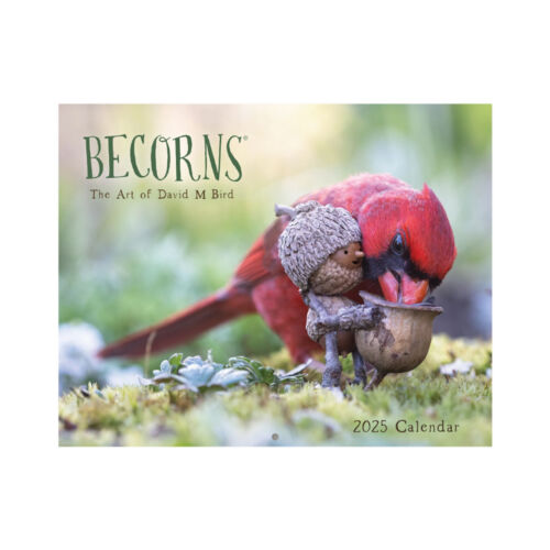 2025 Becorns Calendar Nature&Birds Theme THE ART OF -DAVID M BIRD Wall Calendar - Picture 2 of 7