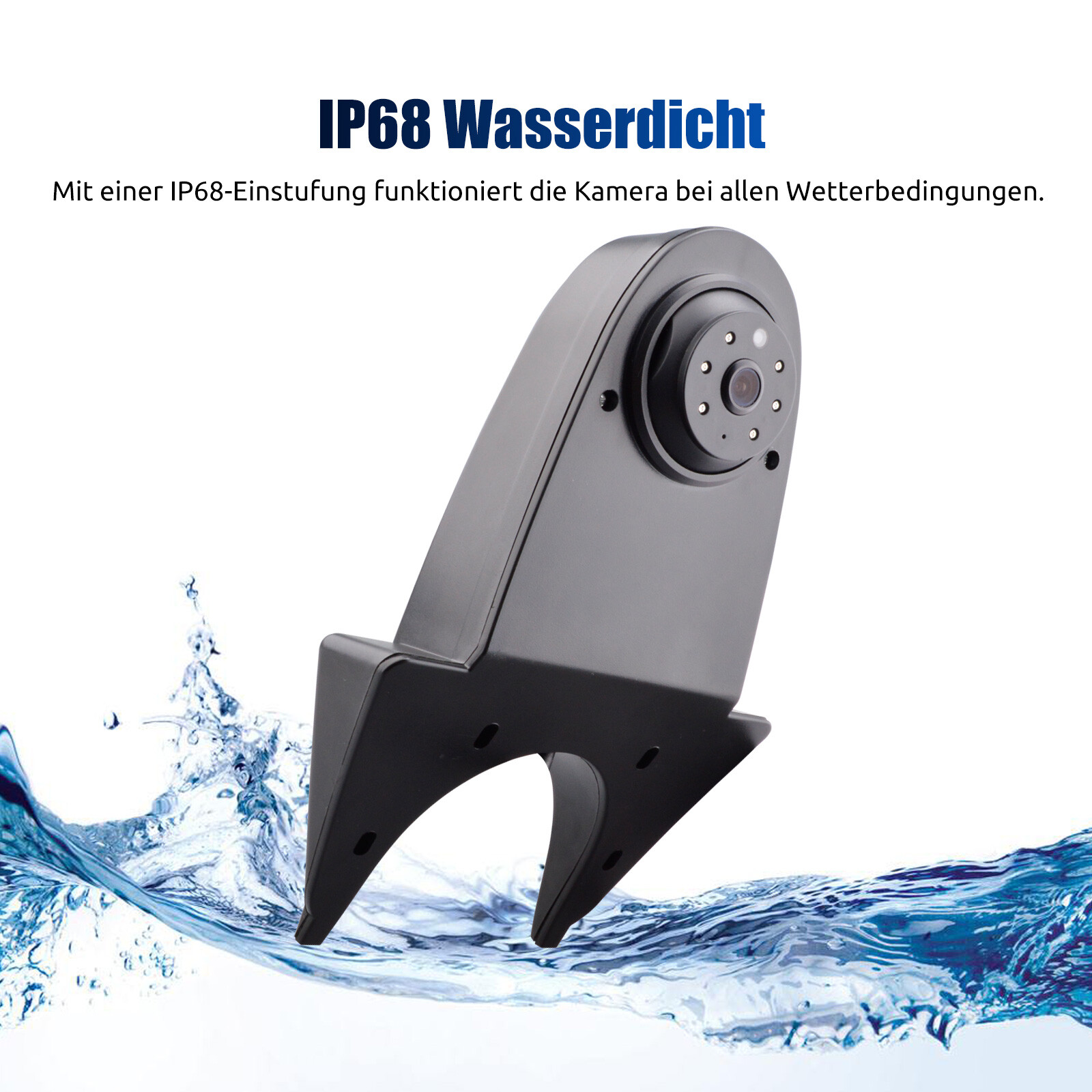 Bild 9 von 12