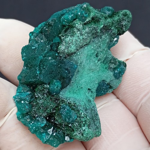 Dioptase and malachite - Kapata Kolwezi DRC Congo - Picture 3 of 12