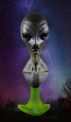 Grey Alien Bust UFO Extraterrestrial Area 51 Outer Space Resin Model Kit Roswell - Bild 1 von 7