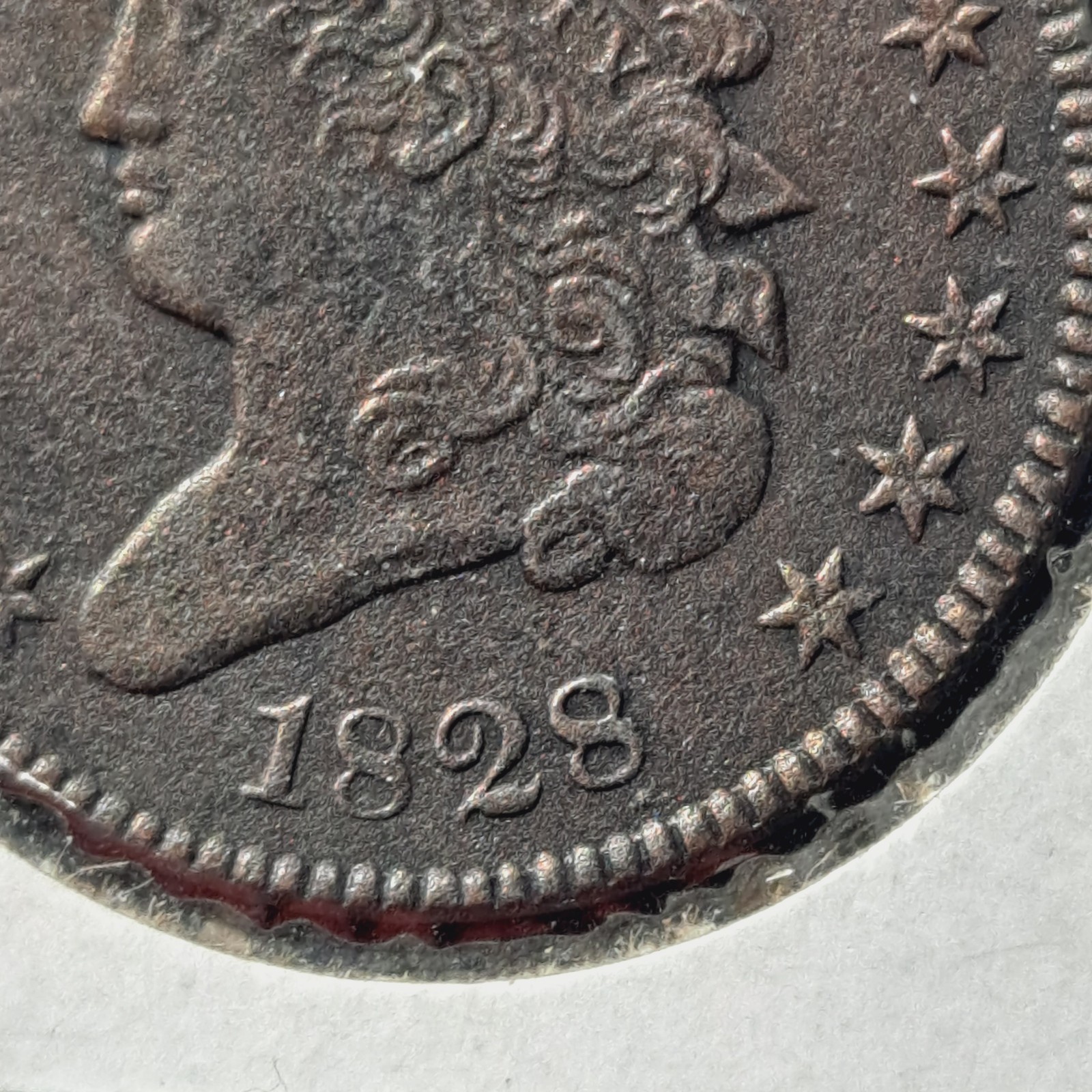 Picture 5 of 8