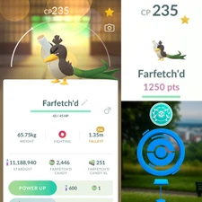 ShowCase - Fighting type Farfetch'd Galarian XXL  (+1230 pts) - Pokemon Go