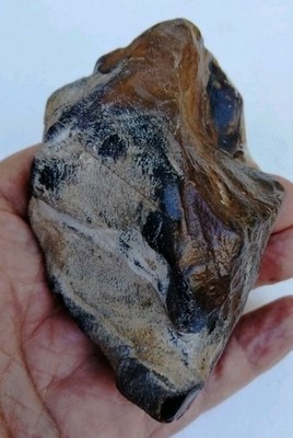 An amazing Prehistoric Paleo-American, petrified wood, sculpture, multi tool.