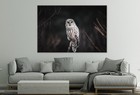 Close Up Owl Perching Branch Wall Art Canvas Unframed Print Art