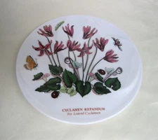 Portmeirion Botanic Garden Cyclamen Repandum Melamine Spoon Rest Holder England
