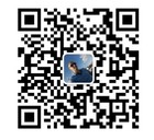 Bild 8 von 8