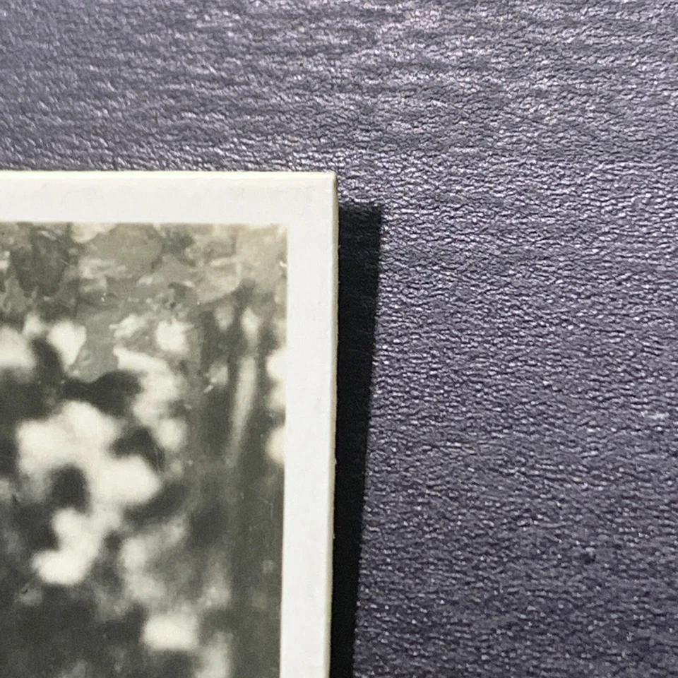 1935 Joe Louis (USA) Pattreiouex Sporting Events & Stars Boxing ROOKIE RC #56 - Image 2 of 4