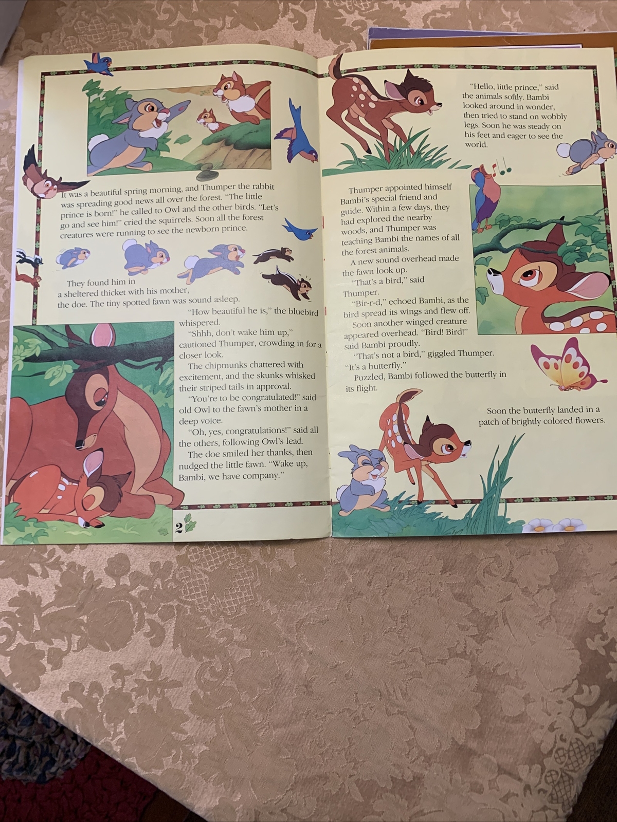 Picture 14 of 21