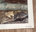 Foto 4 di 6