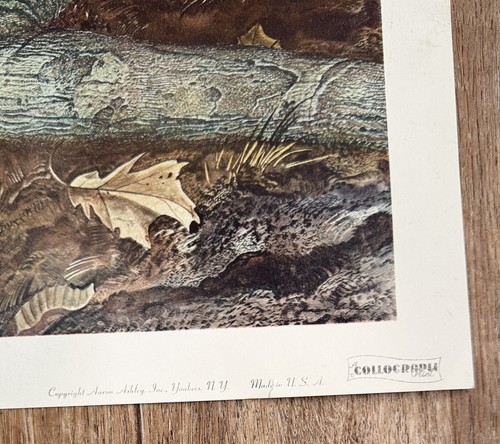 Poster artistico 'Bellezza di Primavera' - (Andrew Wyeth) - Foto 4 di 6
