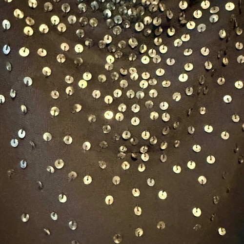Lauren Ralph Lauren Womens XS Sleeveless Blouse Chiffon Top Black Gold Sequins - Picture 2 of 8