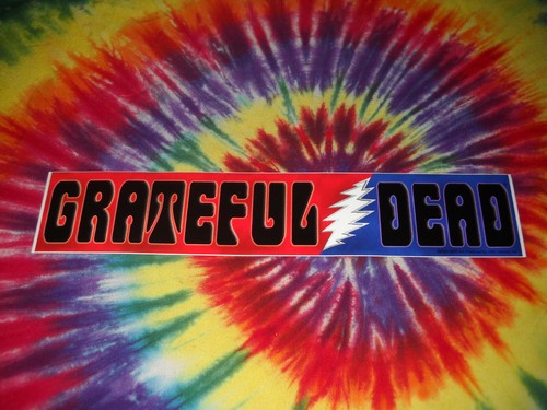 GRATEFUL DEAD & CO CONCERT TOUR LIGHTNING BOLT DEADHEAD STICKER BUMPER DECAL NR - Picture 1 of 2