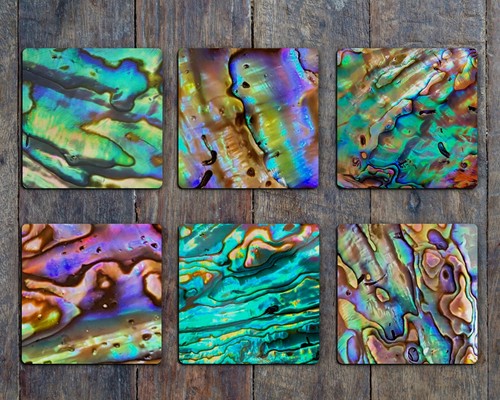 Abalone Paua Drink Coasters Set of Six Neoprene - Picture 2 of 7