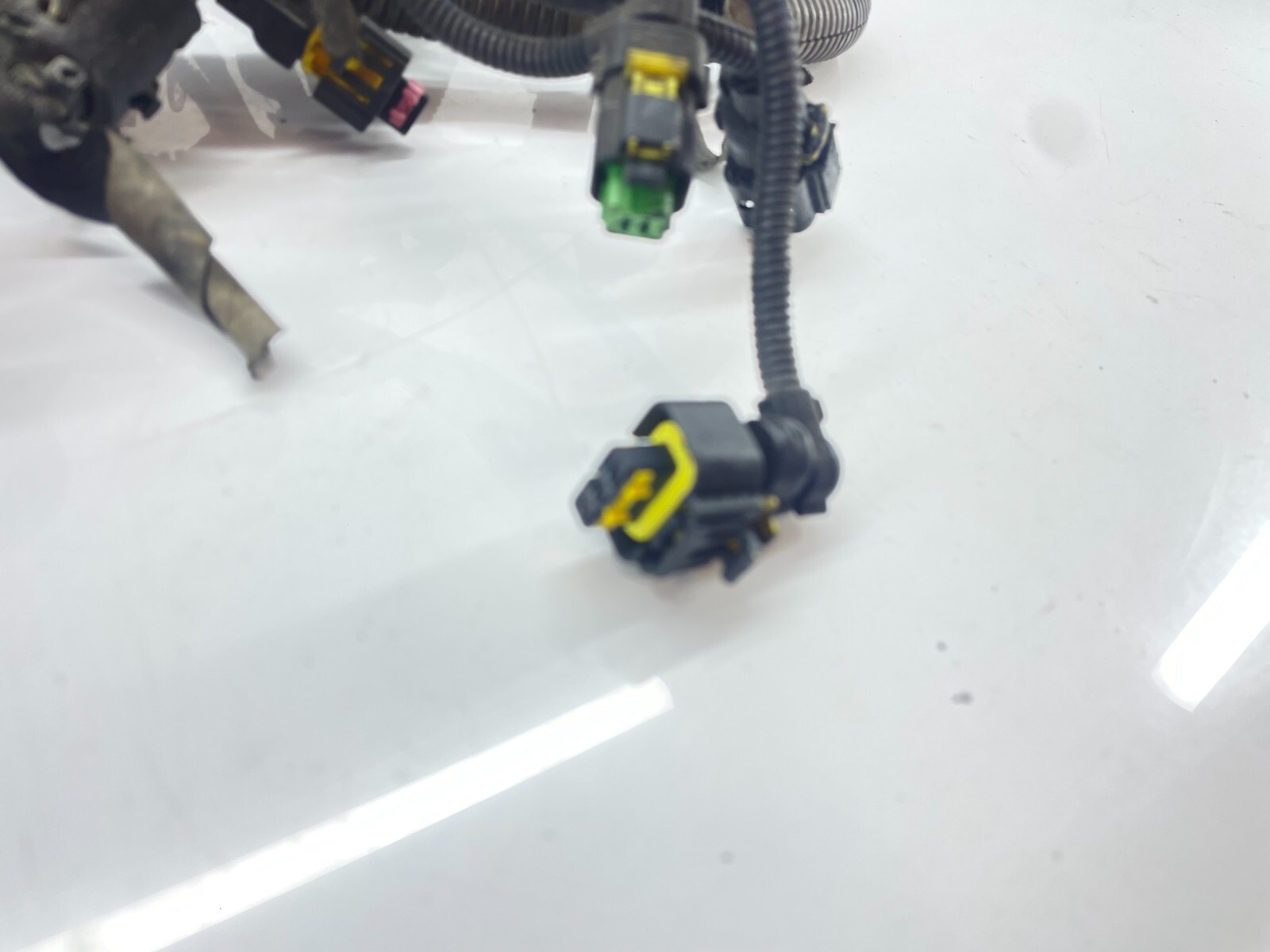 Picture 2 of 13