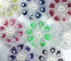 Bild 28 von 81