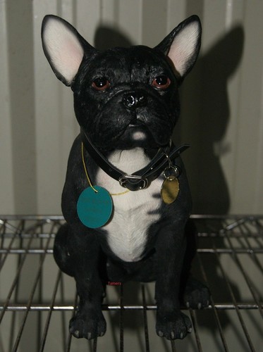 Large Sitting Dog Statue - Chihuahua, Westie, Collie, Staffy, Labrador, Shih Tzu - Picture 12 of 13