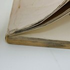 Picture 19 of 19