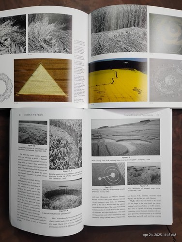 Crop Circle Books - "Crop Circles" and "Secrets of the Fields" READ - Picture 3 of 4