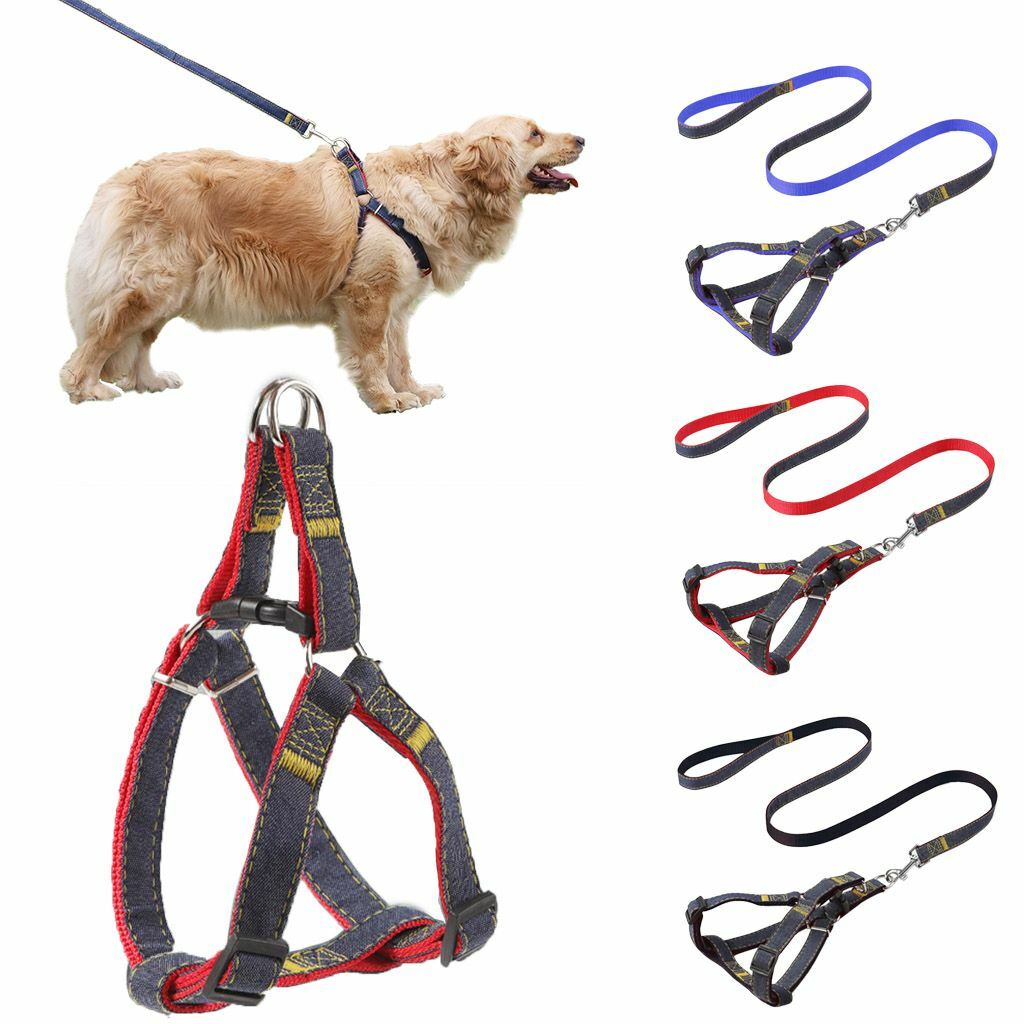 Dog Harness Denim Dog Harness Large Dog Harness Small Dog 