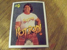 ROWDY RODDY PIPER  1990 CLASSIC WRESTLING CARD # 13