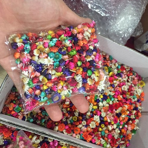 1g DIY Dried Flower Small Wild Chrysanthemum Head Epoxy Resin Filler Craft Decor - Picture 4 of 6