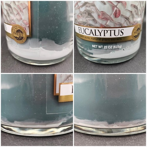 Yankee Candle Eucalyptus Vaso Grande 2 Mechas USADO 78% Izquierdo - Imagen 7 de 7