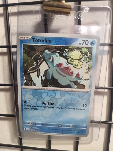 Totodile 039/162 SV05: Temporal Forces Reverse Holo - Picture 1 of 2