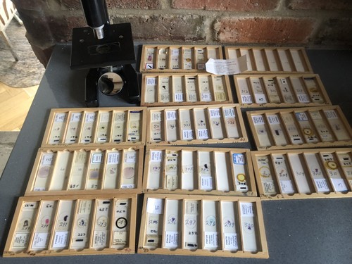 Vintage Swift & Son London Microscope 10x & Box Of 60 Glass Slides 1960s Vgc - Picture 21 of 21