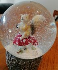 Woodland squirrel Around shake Snow Globe
