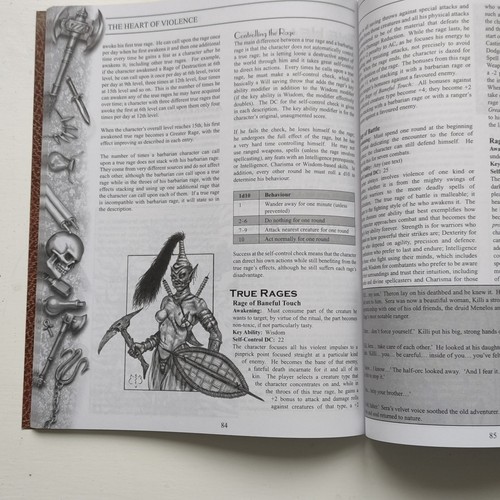 The Quintessential Half-Orc (Dungeons & Dragons d20 3.5 Fantasy Roleplaying)  - Picture 12 of 13