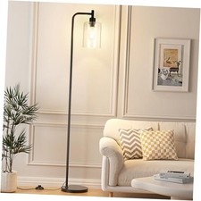 Industrial Floor Lamp with Glass Shade - Black, LED Bulbs, Foot Clear-Black