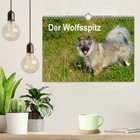 Bild 3 von 12