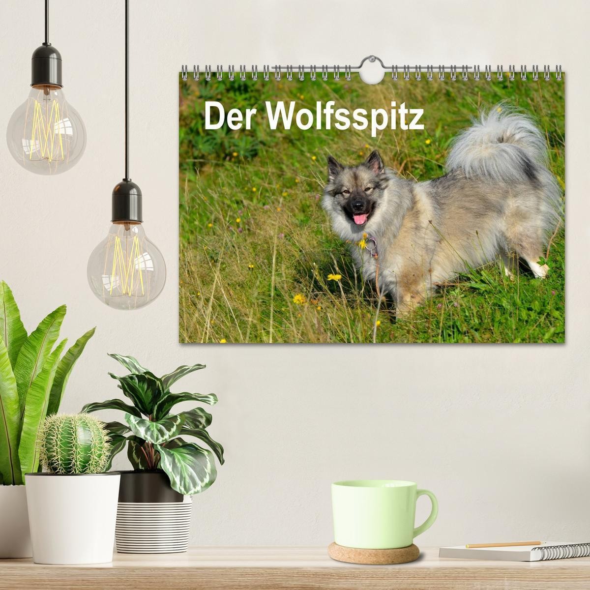 Bild 3 von 12