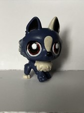 Littlest Pet Shop CUSTOM Purple  Cream Siberian Husky Base LPS