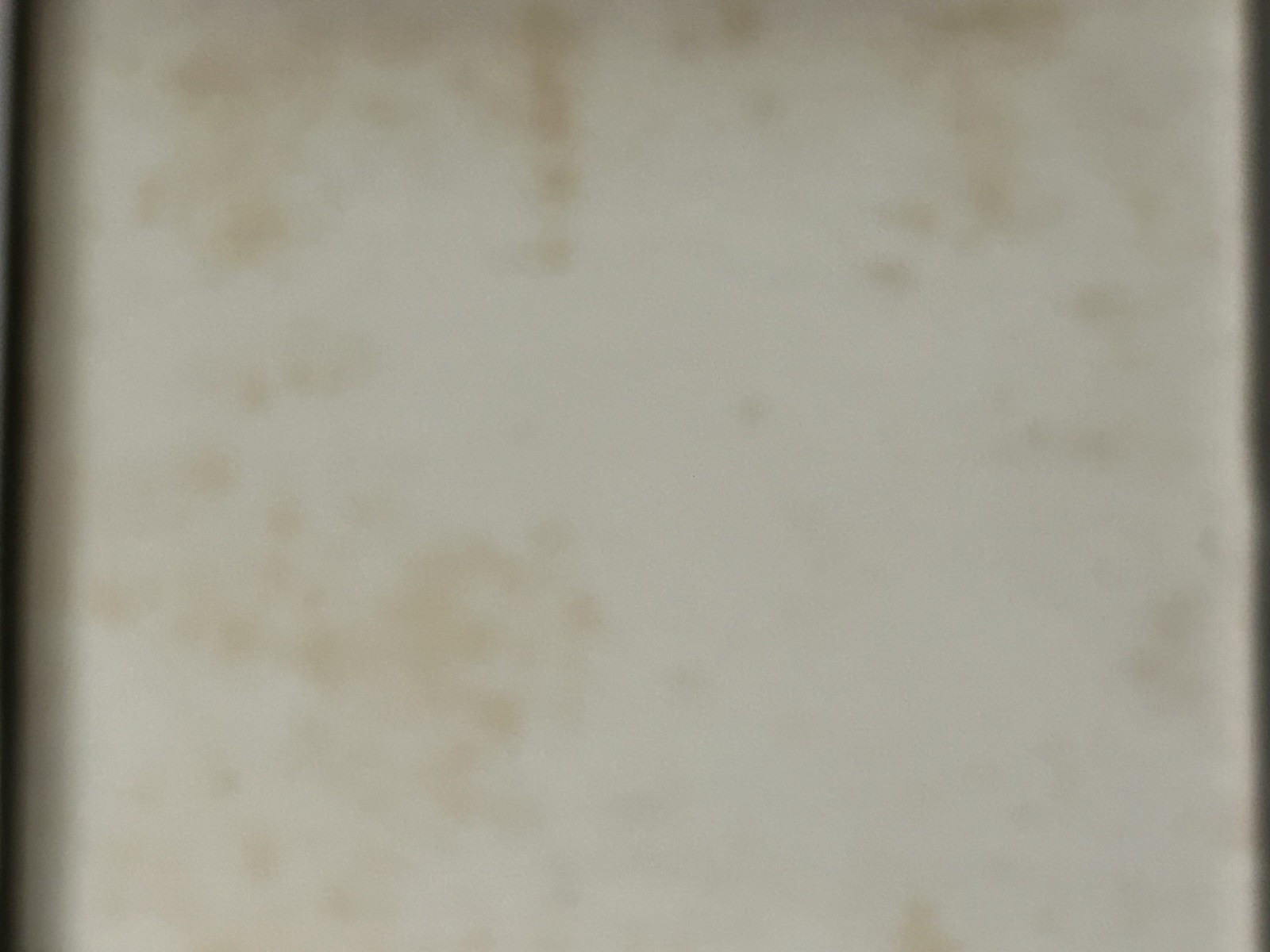 Picture 14 of 18