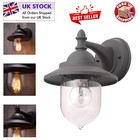 Bacup Industrial Outdoor Lantern Wall Light - Stylish Anthracite Design