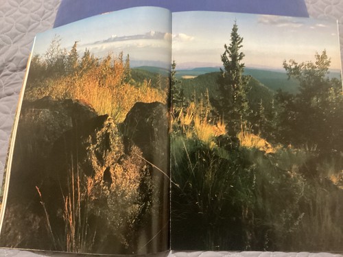 ARIZONA HIGHWAYS, AUGUST 1980, RIO VERDE, FIDDLE FEVER IN PAYSON/FREE POSTAGE!!! - Picture 7 of 11