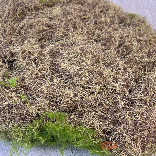 Flower Tree Miniatures HO/OO Scale Moss Lawn Horse Forest Farm Sand Table Model - Picture 4 of 8