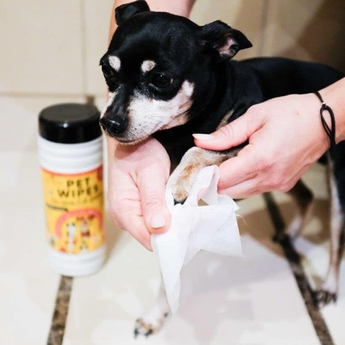 Pet Wipes for Pets Cleansing, Wipes for Dogs & Puppies-Mild & Soothing 50 Count - Picture 6 of 6