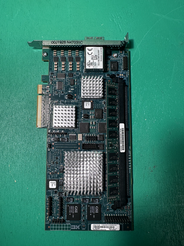 Tarjeta PCIe aceleradora de base de datos IBM 00J2599 - Imagen 1 de 4