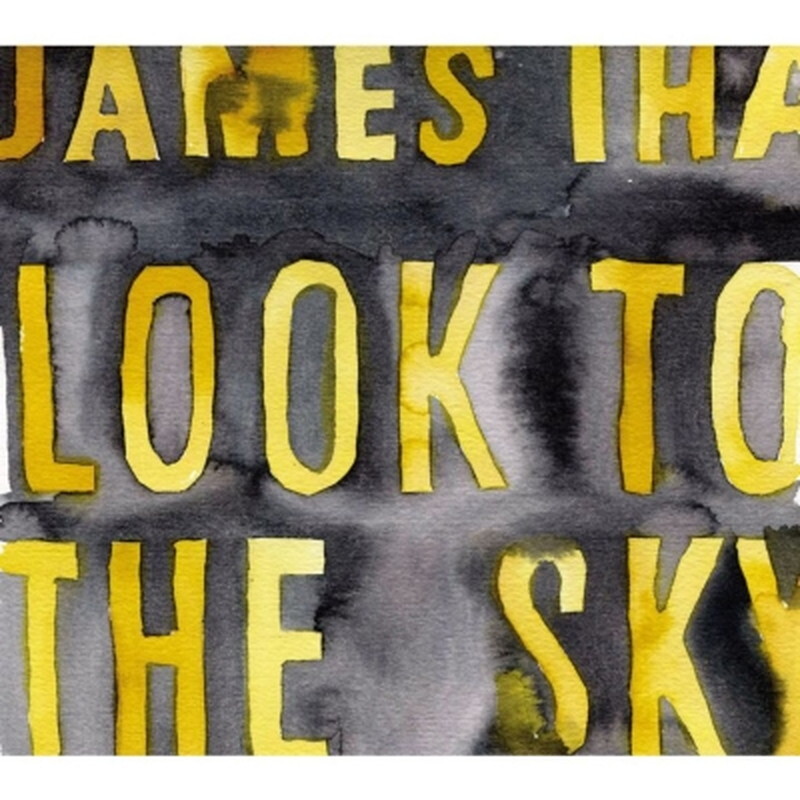 未開封 James Iha Look To The Sky 180g LP James Iha/Look To The Sky UPJY9133 New LP | eBay
